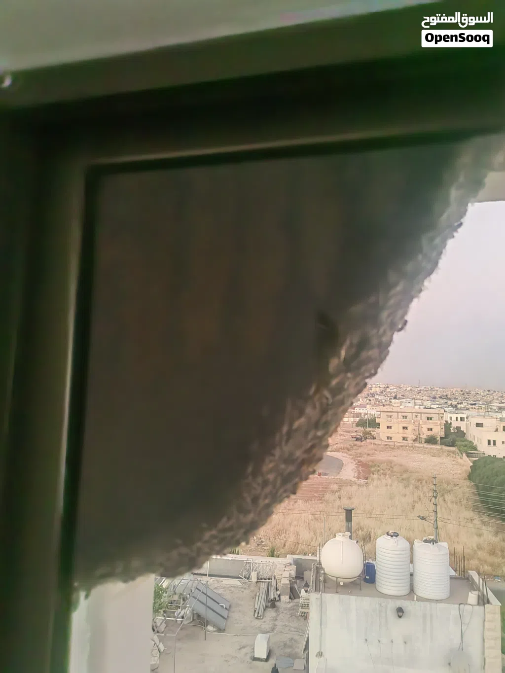 خلية نحل للبيع