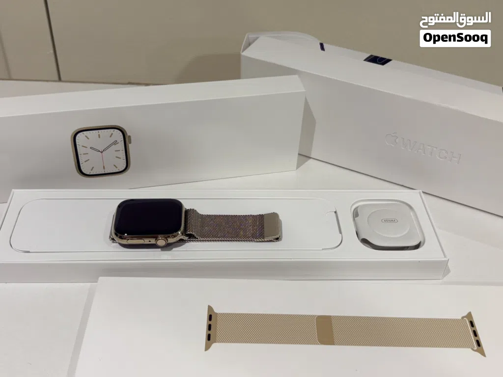 Apple Watch Series 7 – 45mm (Gold Stainless Steel)