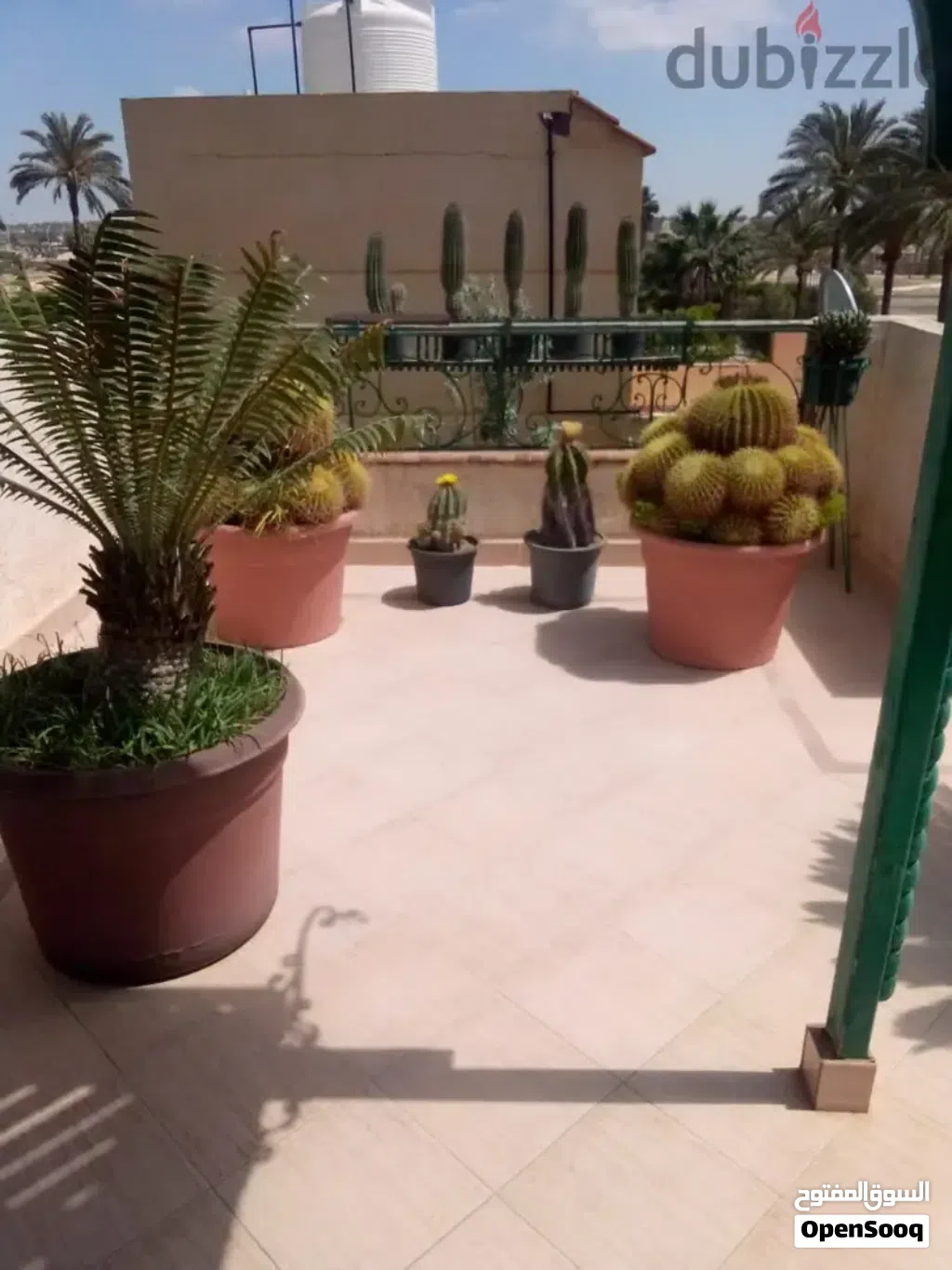 مجموعه من الصبارات النادره للبيع