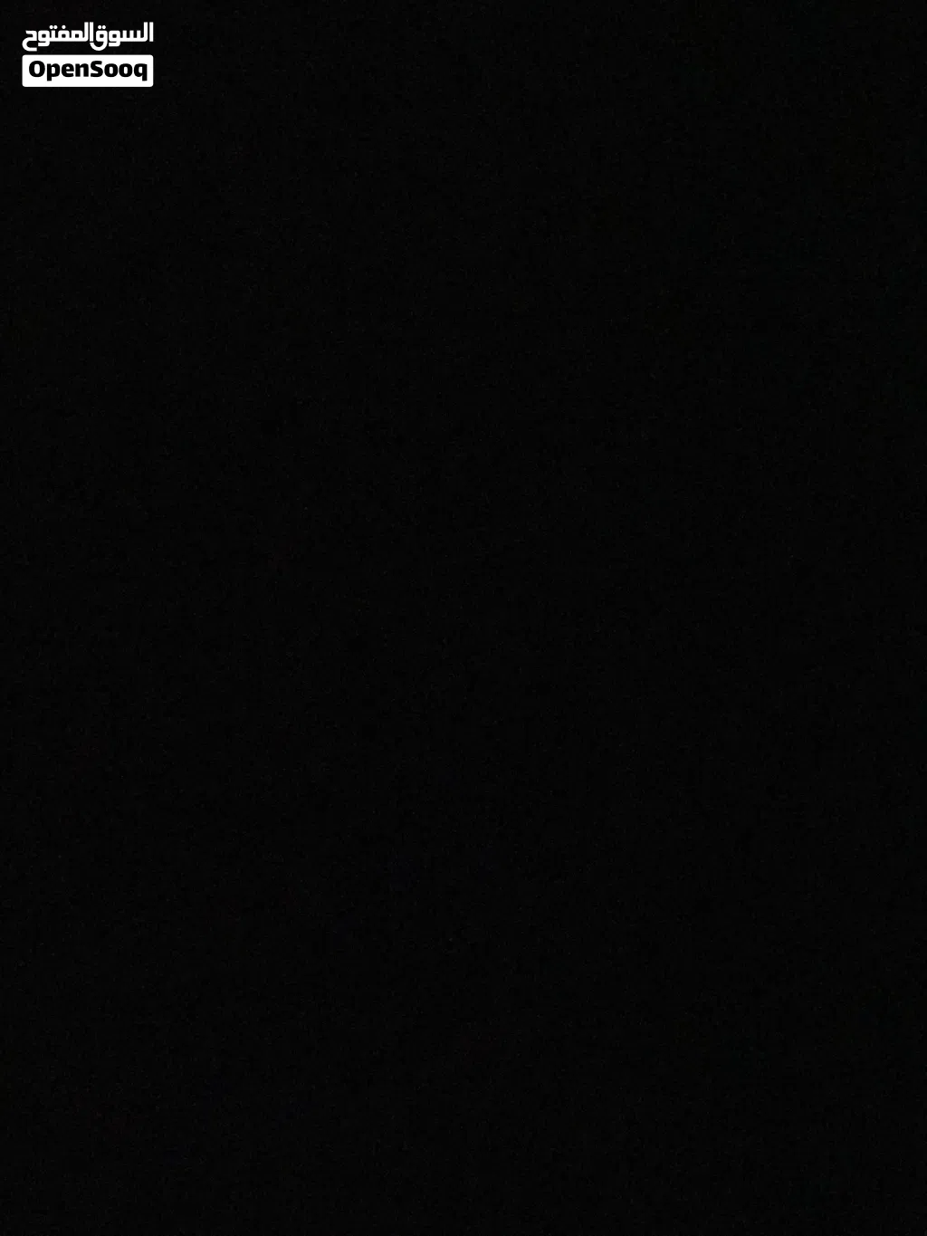 فندقة او تبني ببغاوات