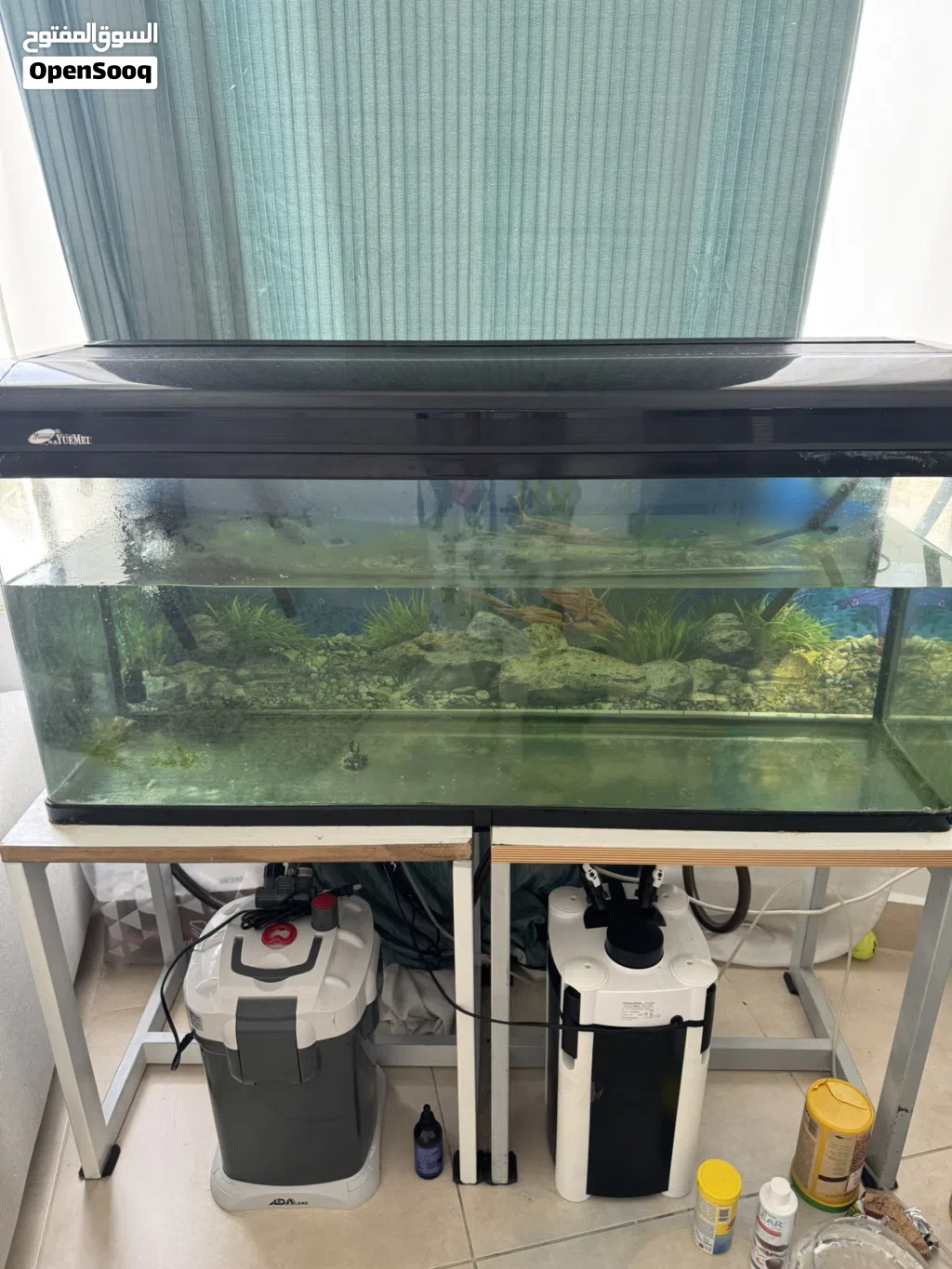 Fish Tank 115 Cm aquarium