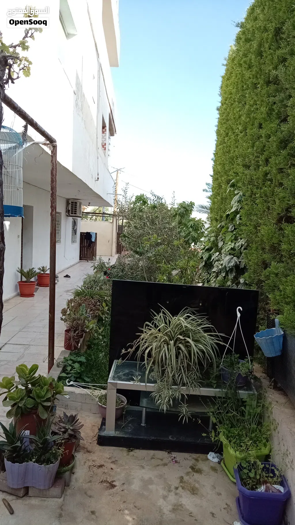 بدر الجديده. الرباحيه الجنوبيه