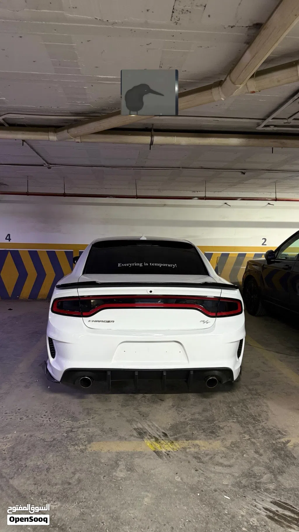 دودج تشارجر Daytona R/T