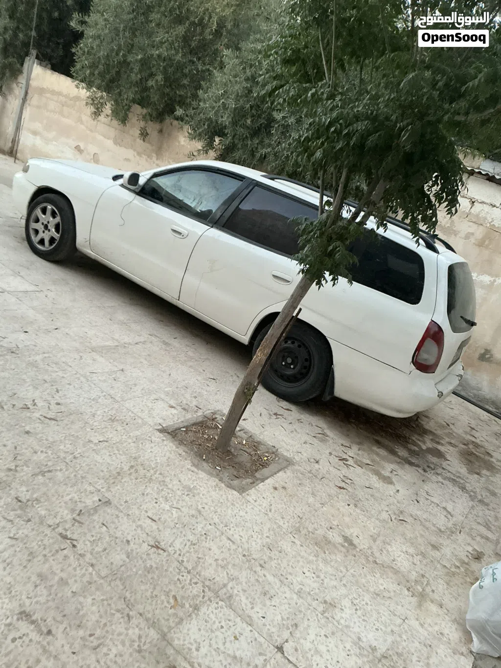 دايو نوبيرا