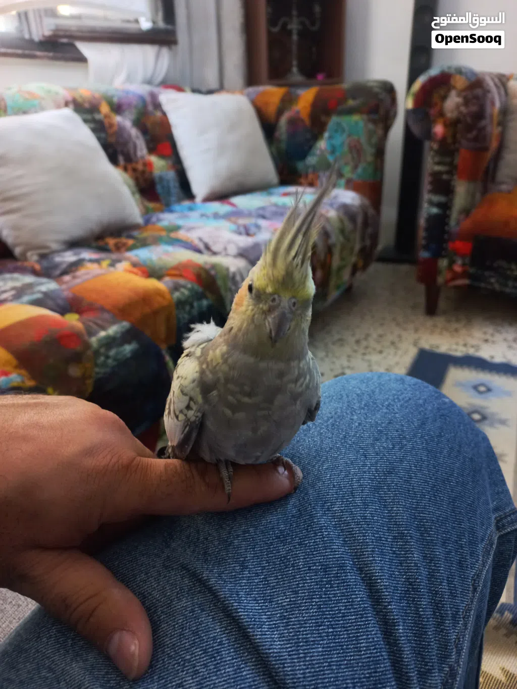جبل اللويبدة او العبدلي