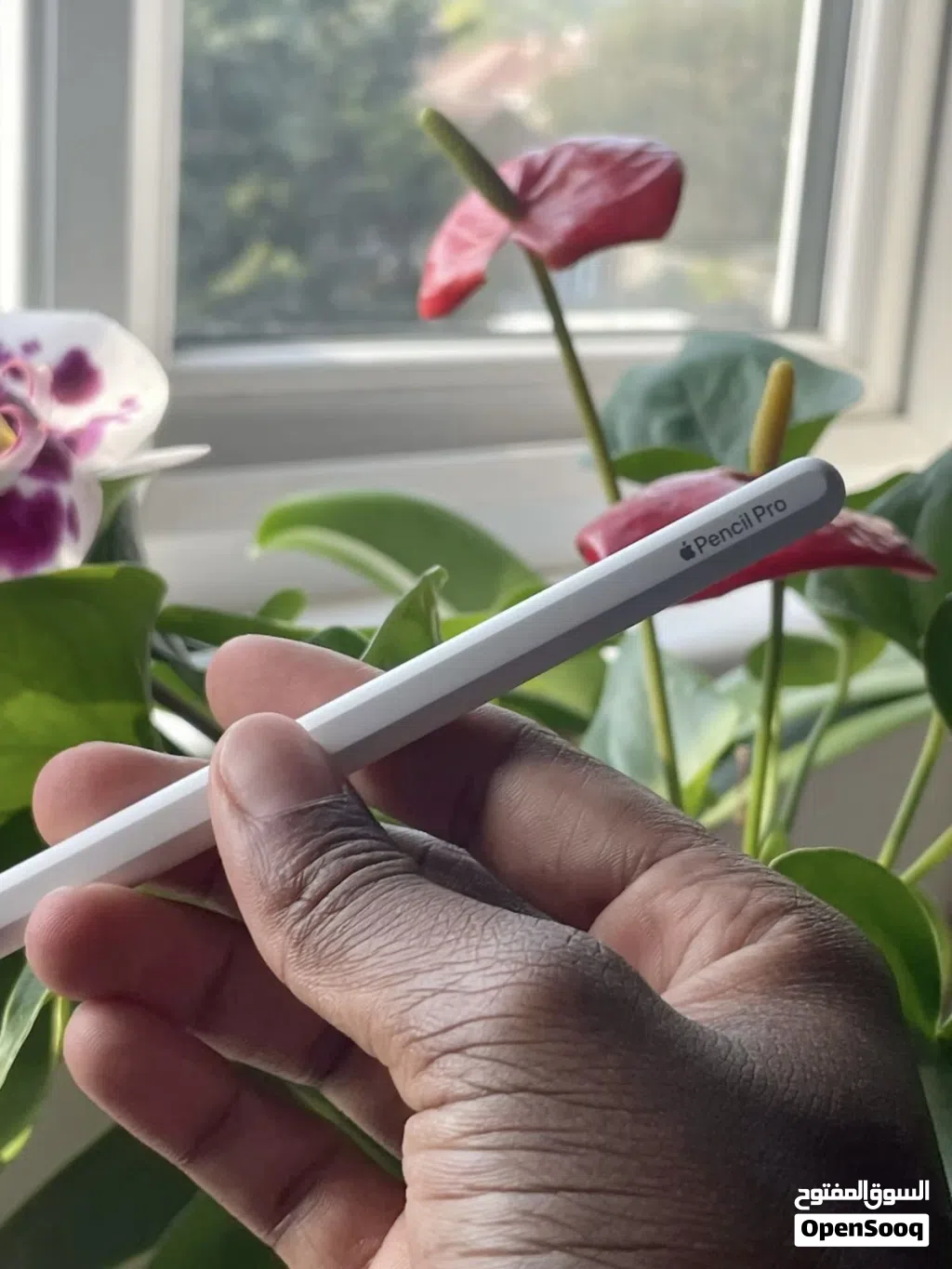 Apple Pencil Pro