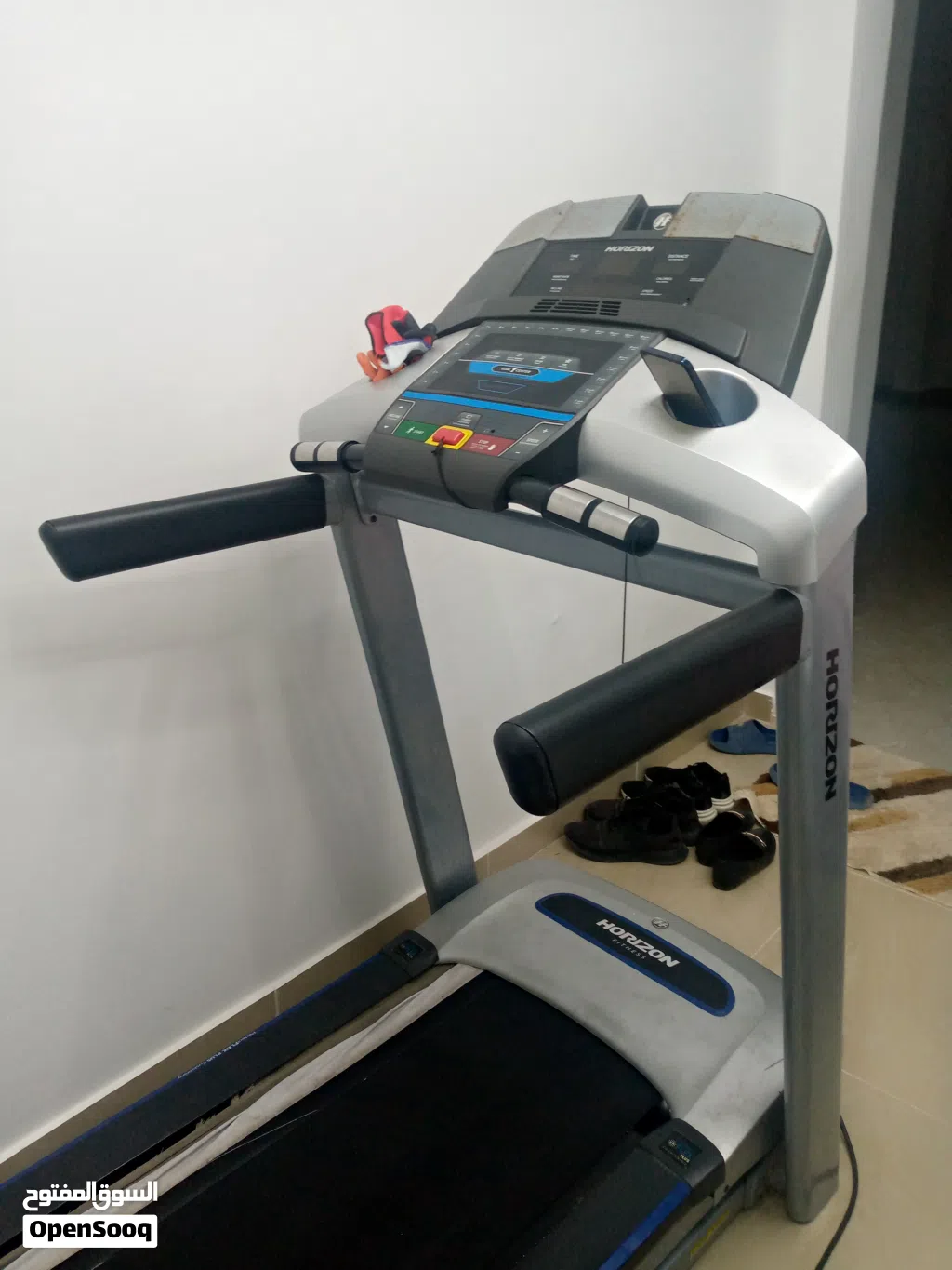 سير رياضي Horizon Fitness