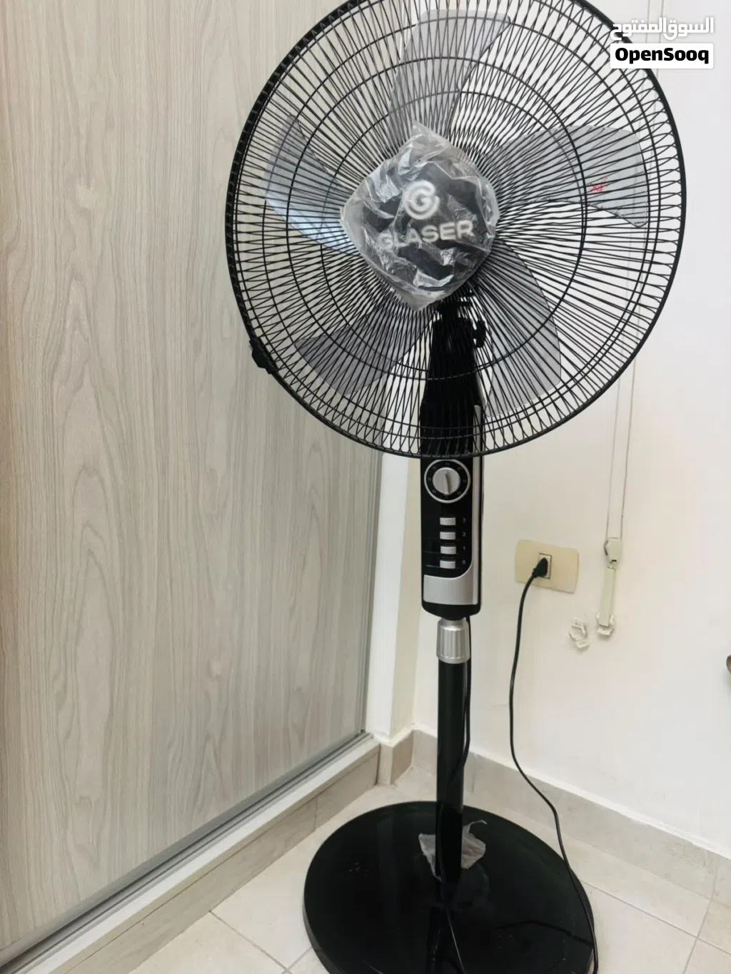 Standing Fan