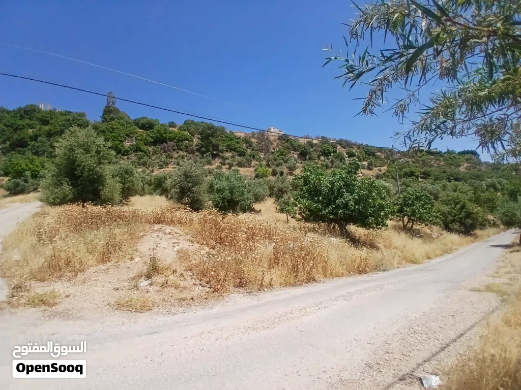 أرض سكني للبيع في ماحص - بموقع مميز