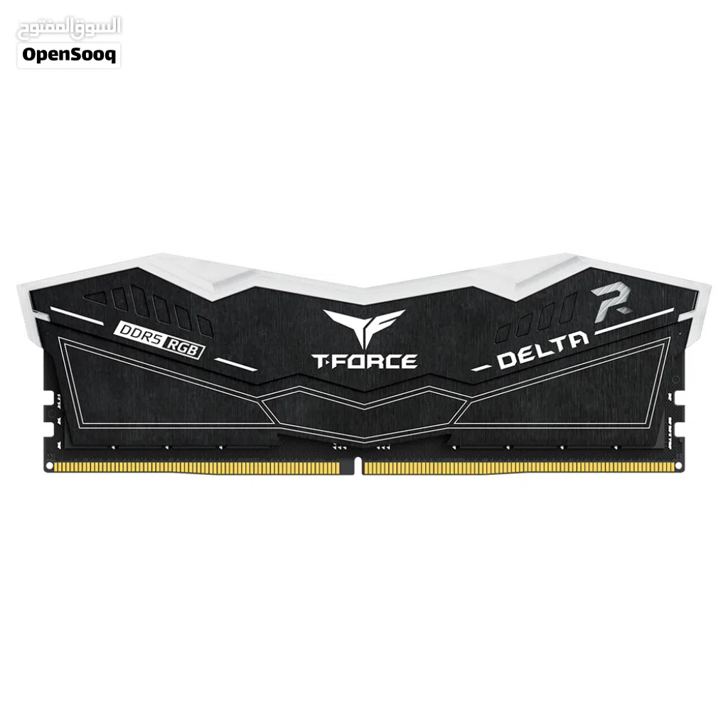 Team T-Force Delta RGB 32GB (1 x 32GB) 288-Pin PC RAM DDR5 6000 )