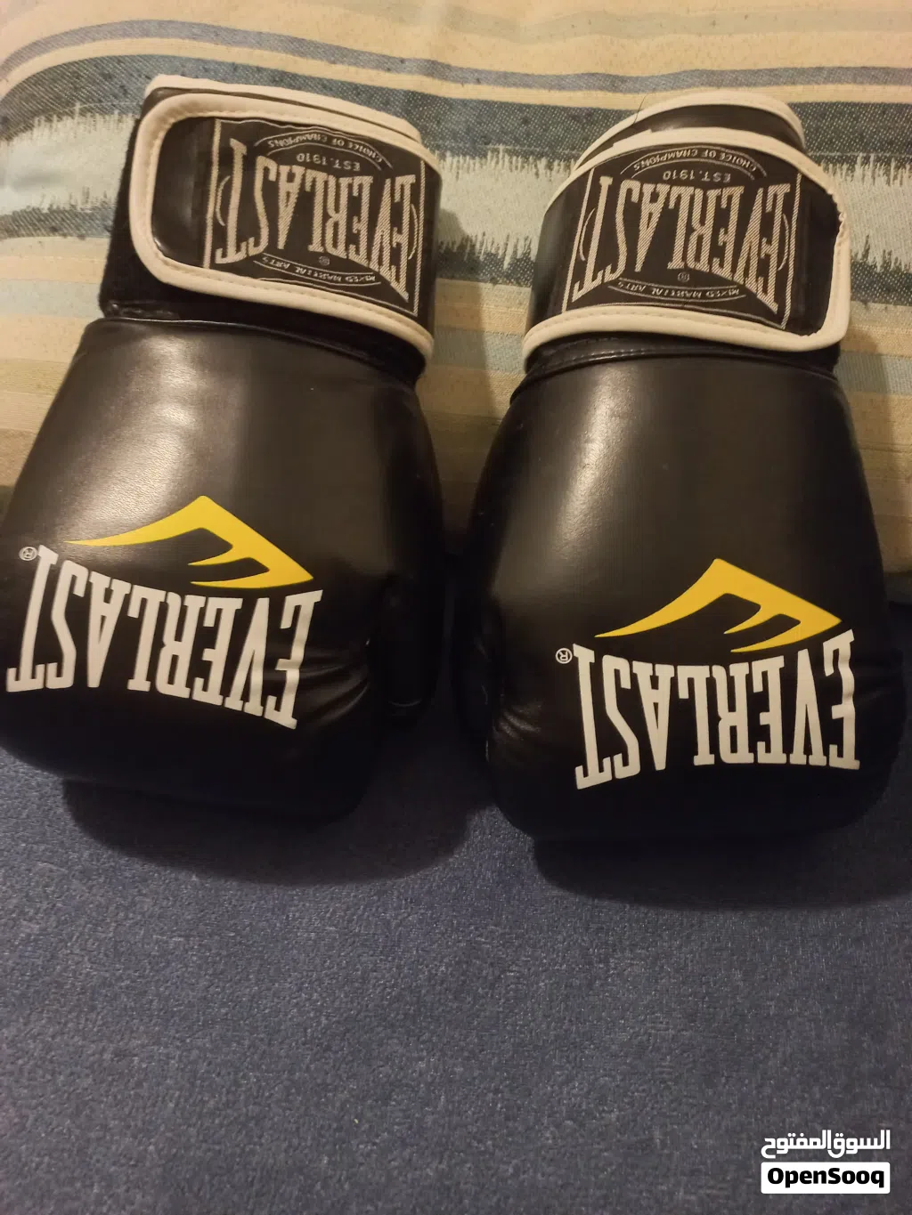 كفوف ملاكمة إيفرلاست (Everlast) وزن 12oz بحالة الوكالة