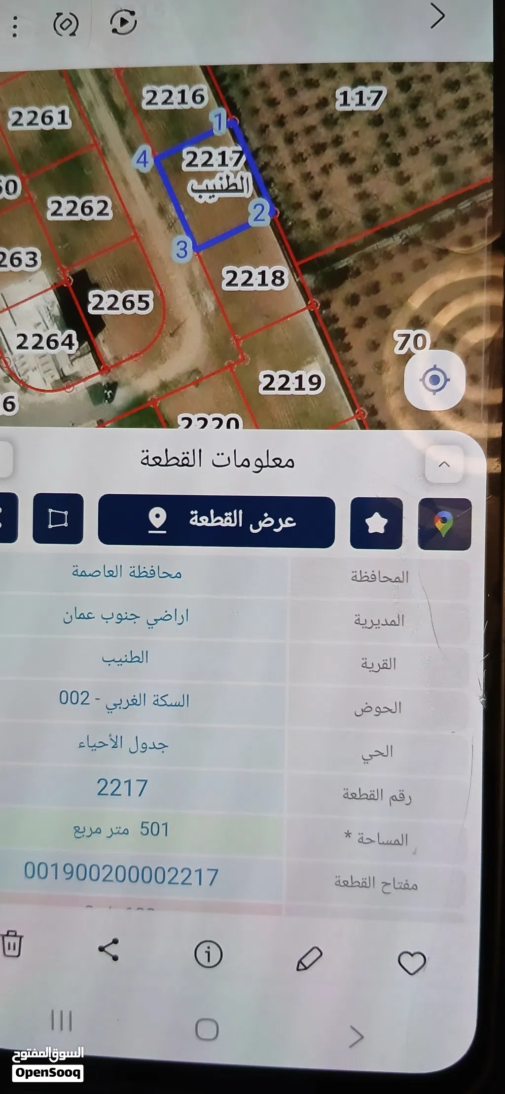 الطنيب شارع المطار