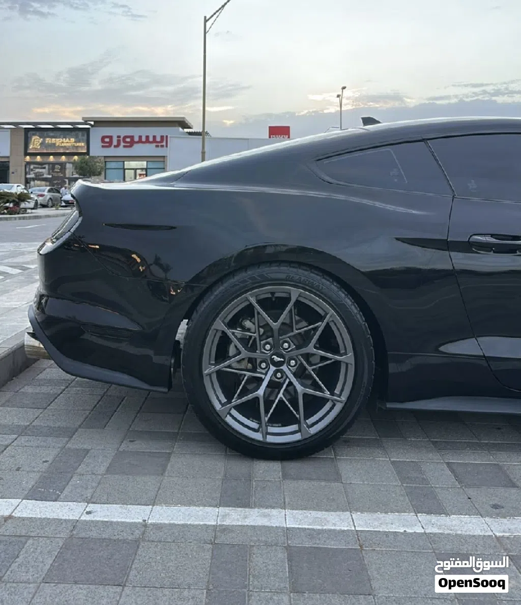 رنجات موستانج ماك 1 نظيفه