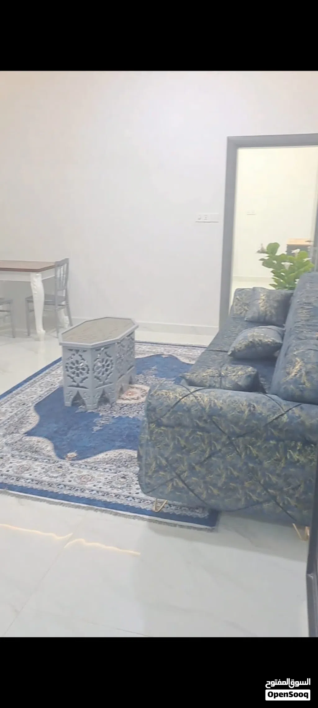شقه الجنينه المصلحه مفروشه موئثثه ديلوكس