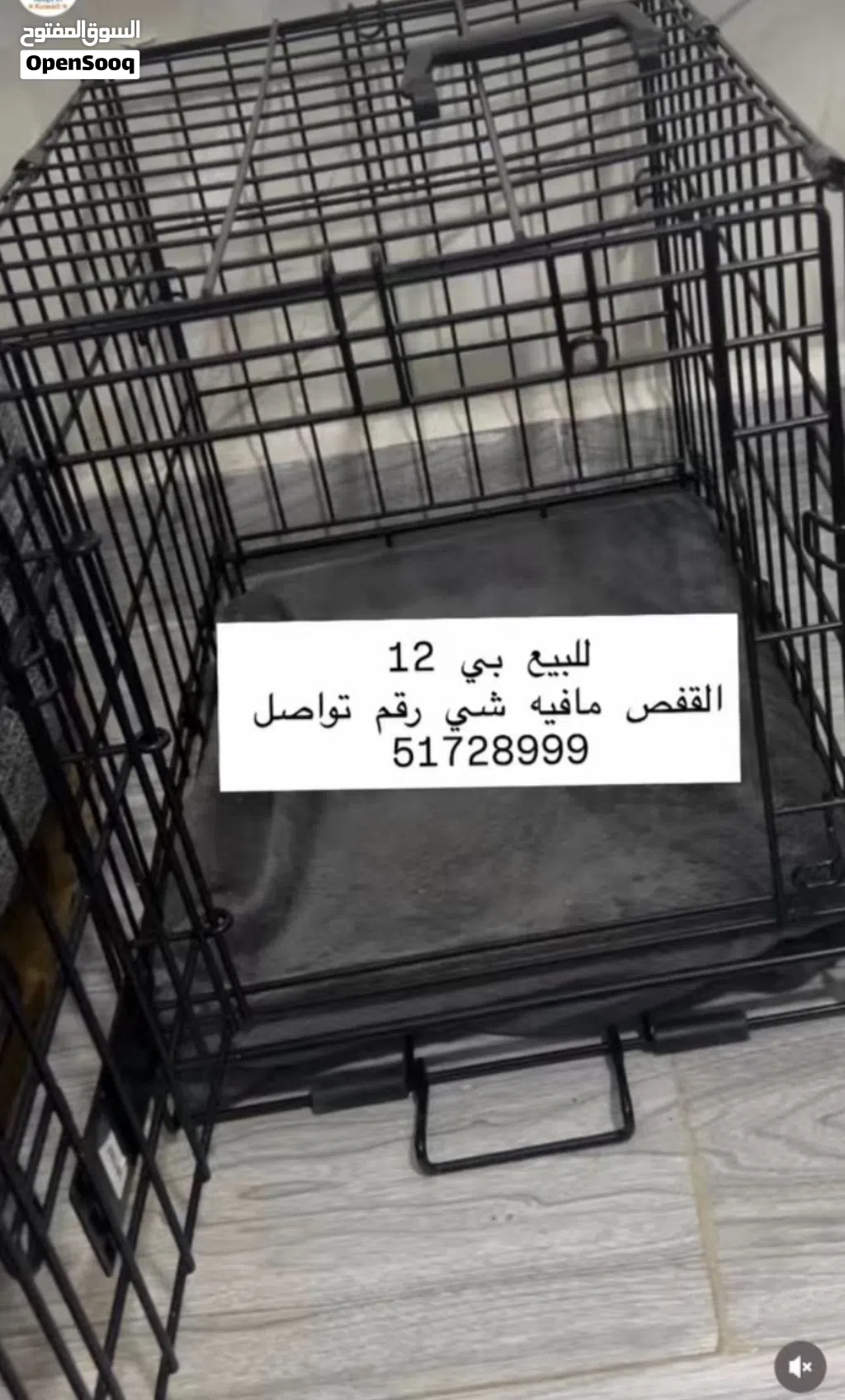 قفص مافيه شي وكان يكفي قطاوتي الاثنين