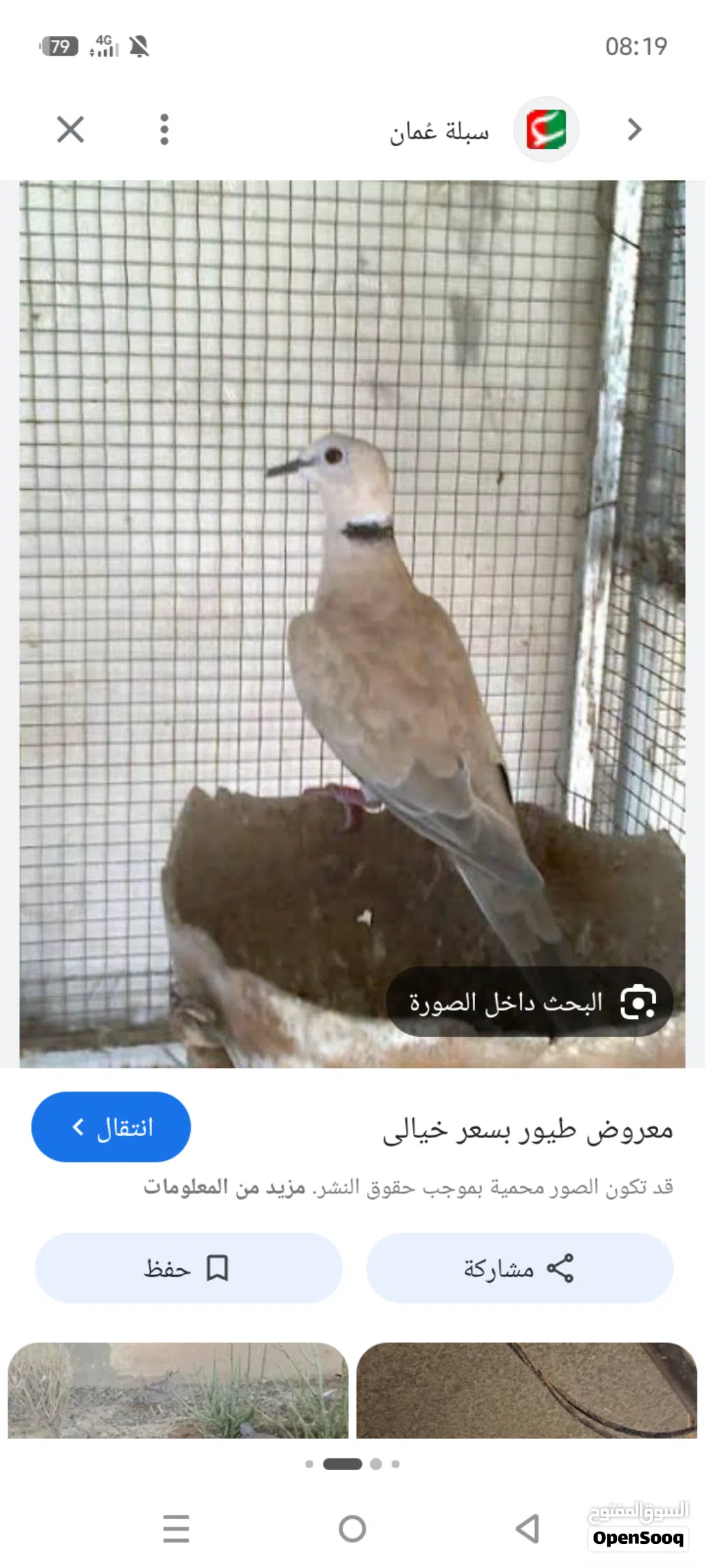 عفاد بري زوج