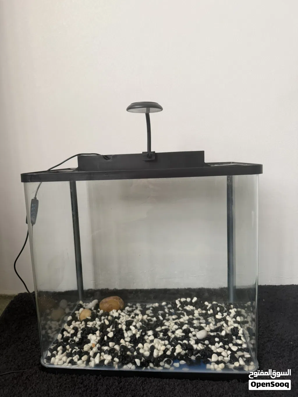 Fish aquarium