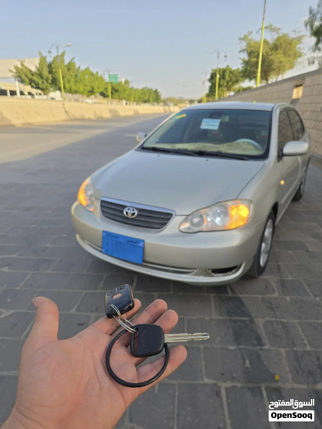 Toyota Corolla Allex