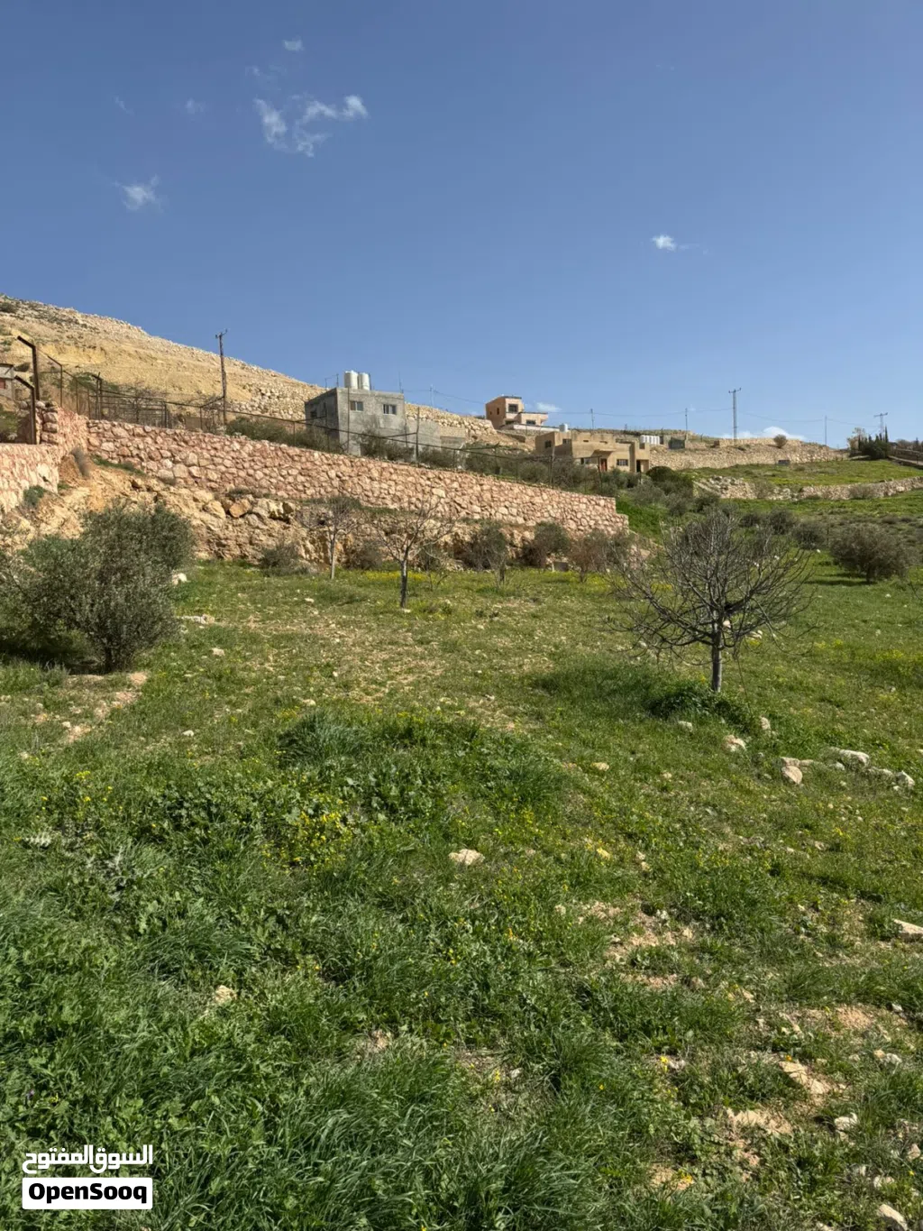 قطعة أرض زراعية من المالك مباشرة