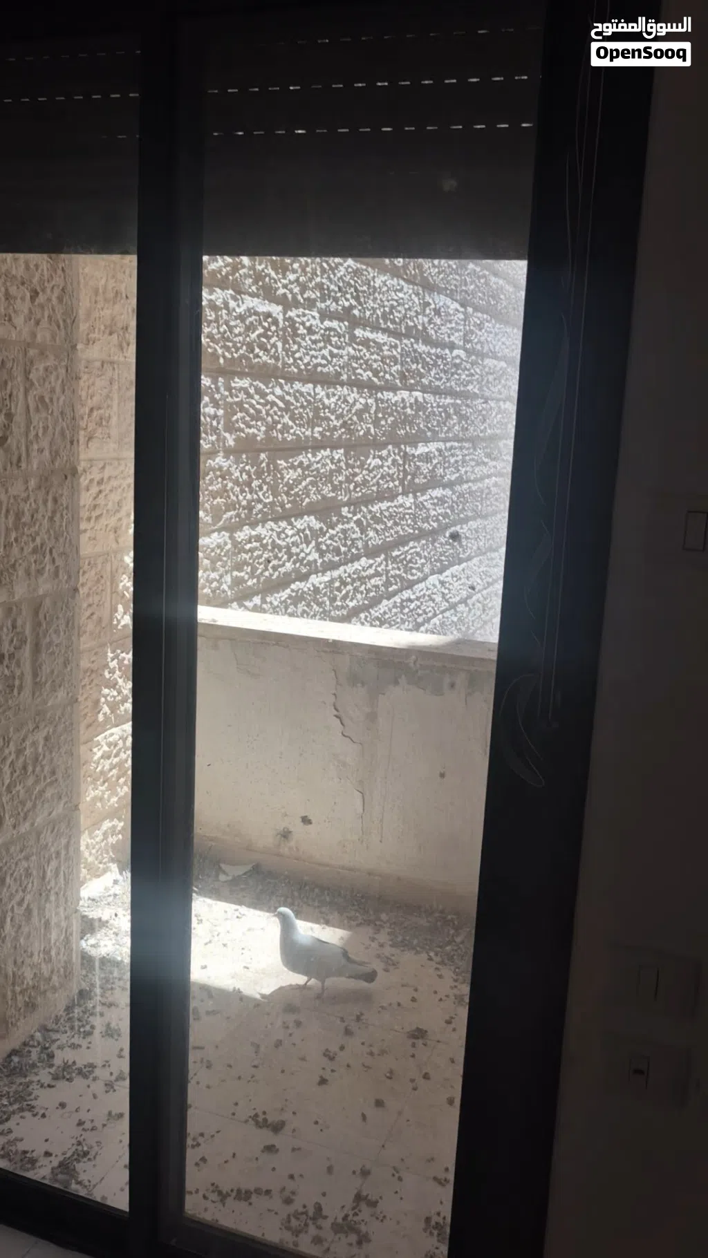 شقه للايجار ضاحيه الغدير العماره رقم 5 الطابق الثالث