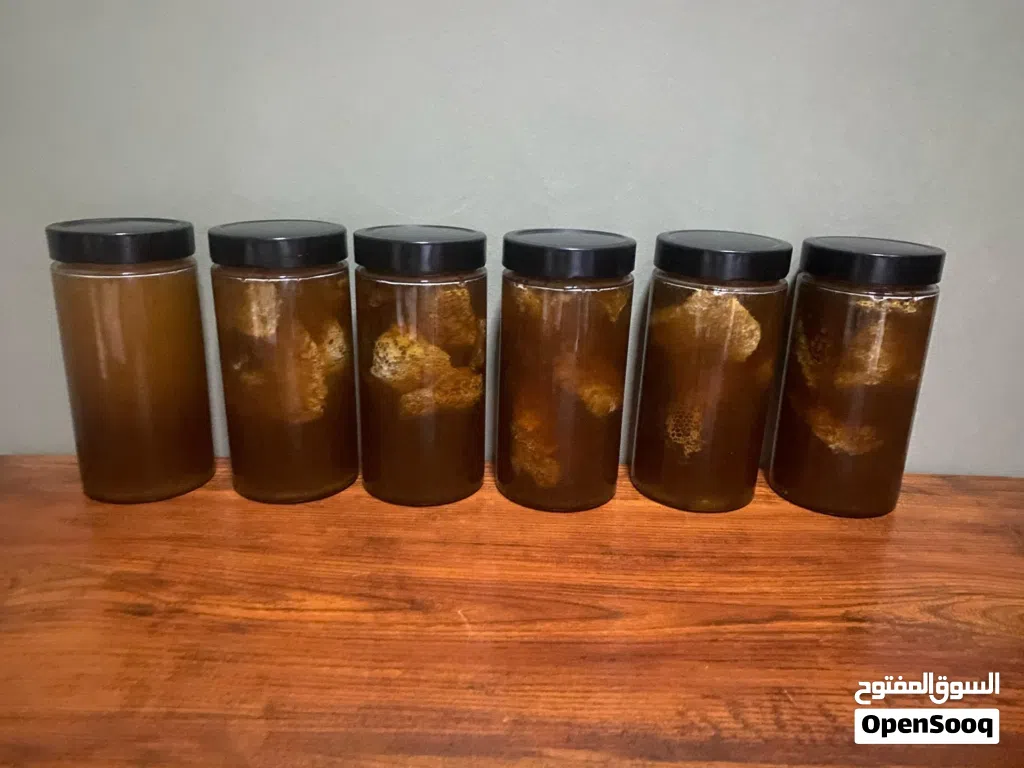 للبيع عسل ابو طويق جبلي حر