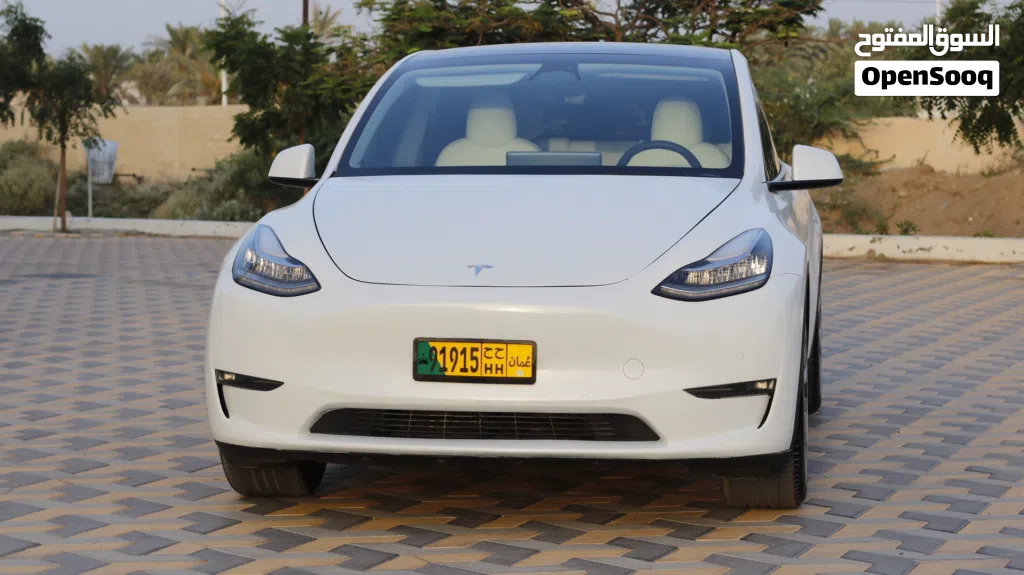 Tesla Model Y Long Range