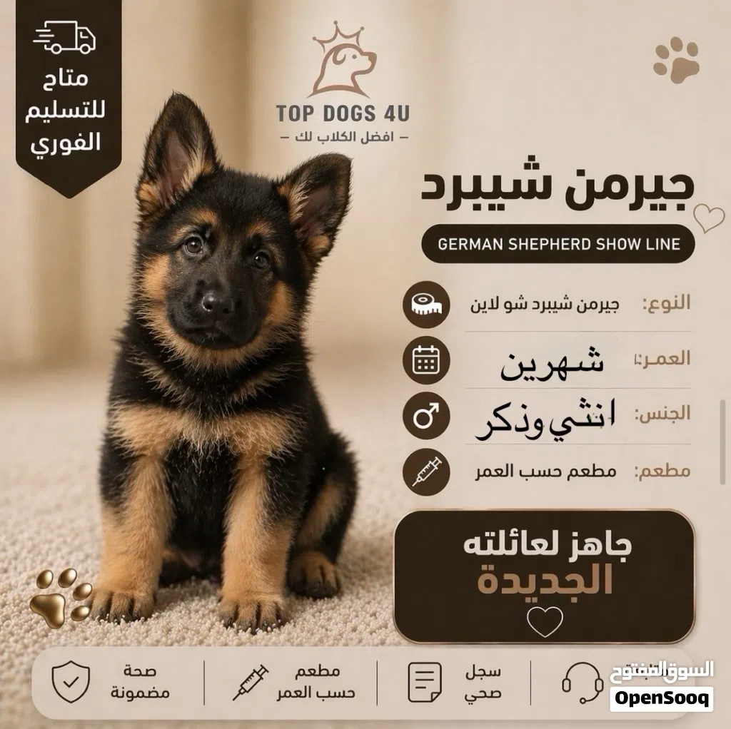 ذكر وانثي جيرمن مستوى فاخر