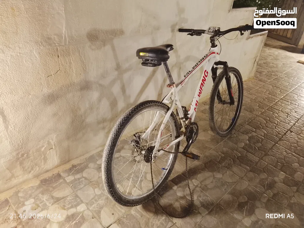 بسكليت امريكي