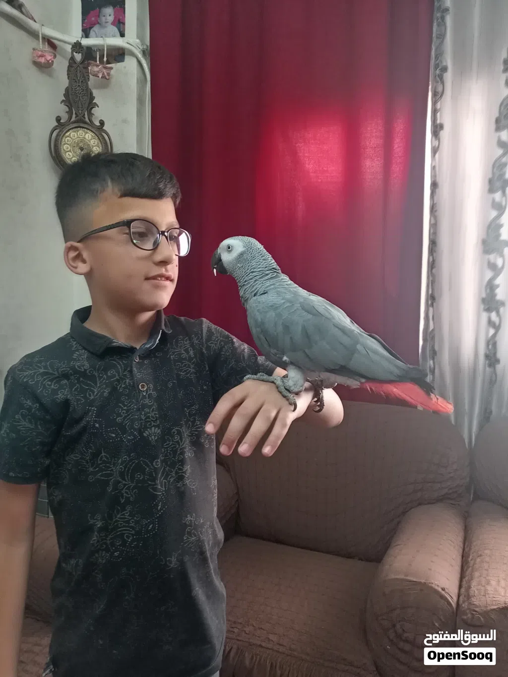كاسكو متكلم بحكي أكثر من خمسين كلمه