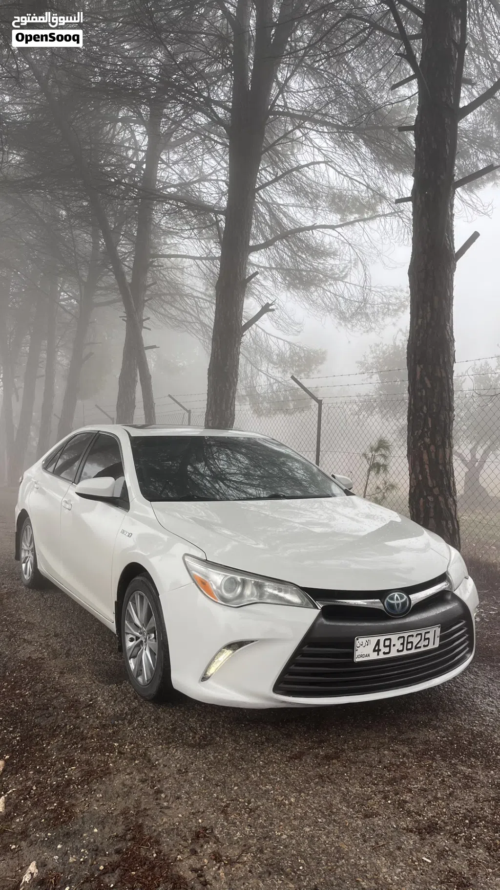 Toyota Camry XLE