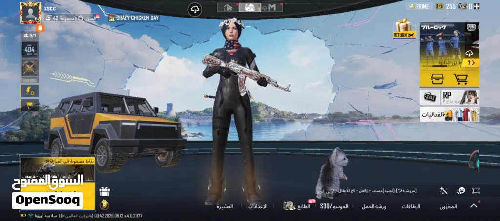 حساب ببجي مرتب للبيع