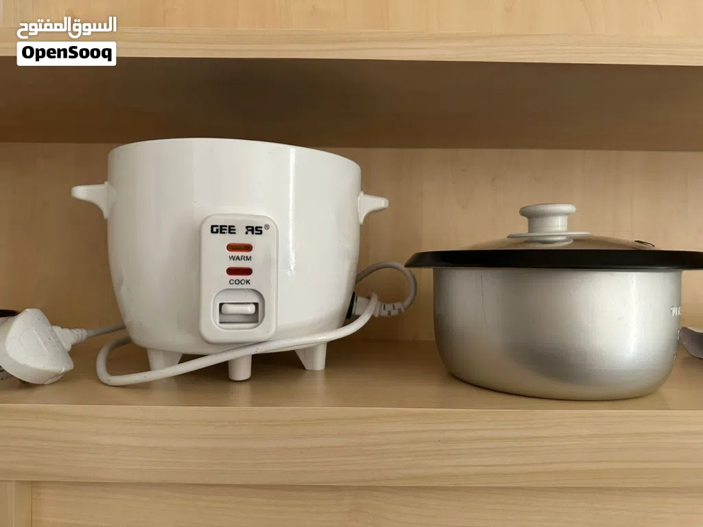 GEEPAS rice cooker 0.6L