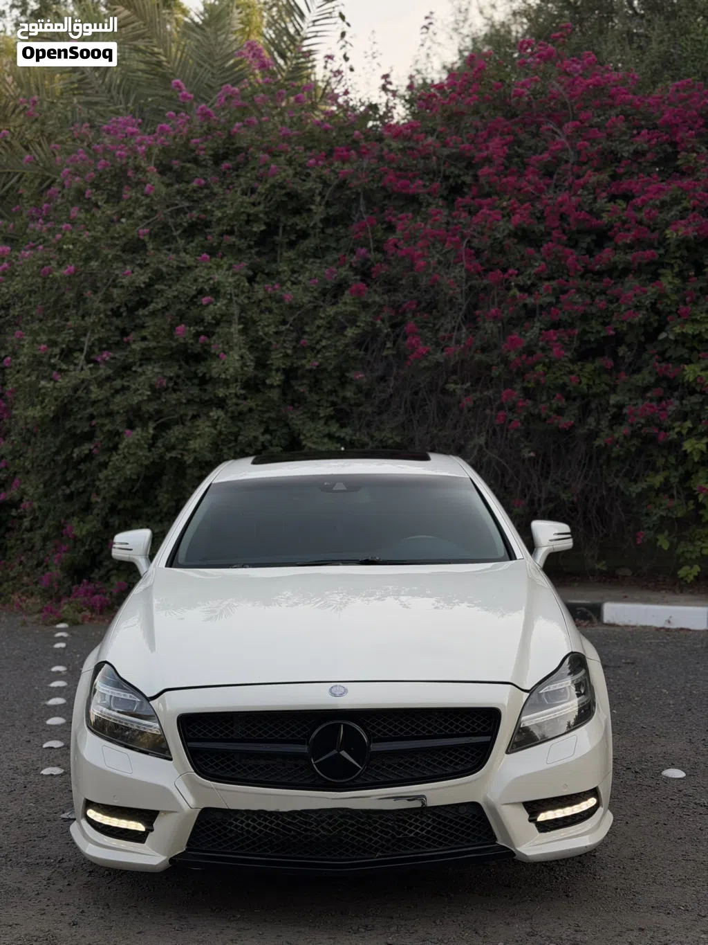 Mercedes Benz CLS-Class CLS 350