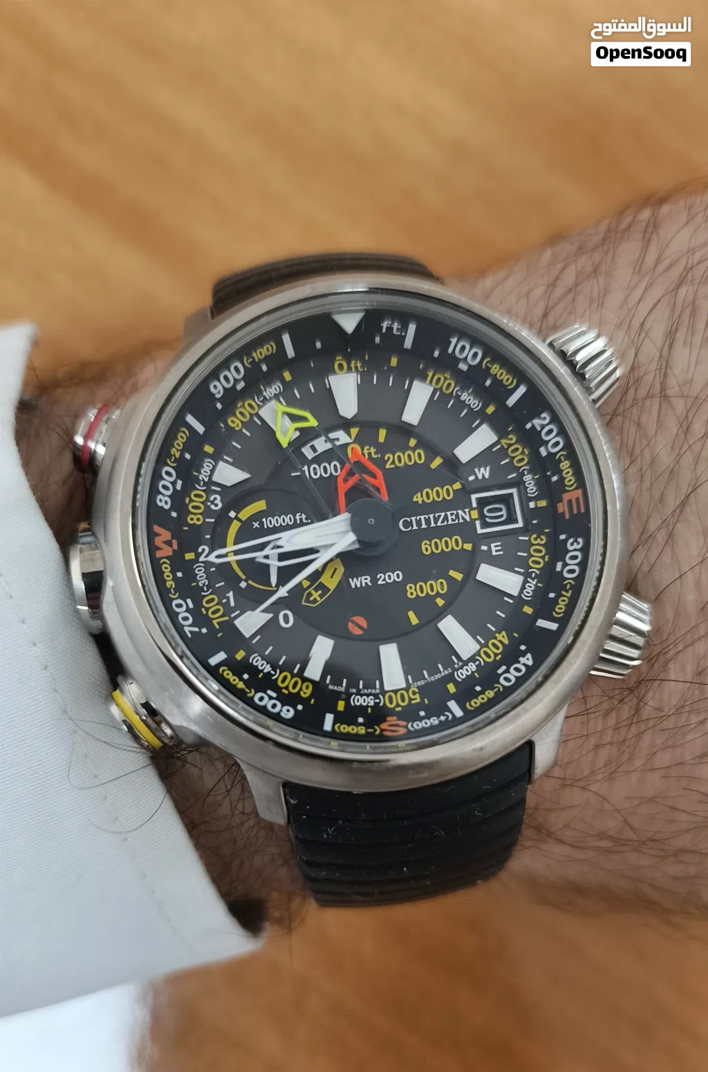Citizen Promaster Altichron