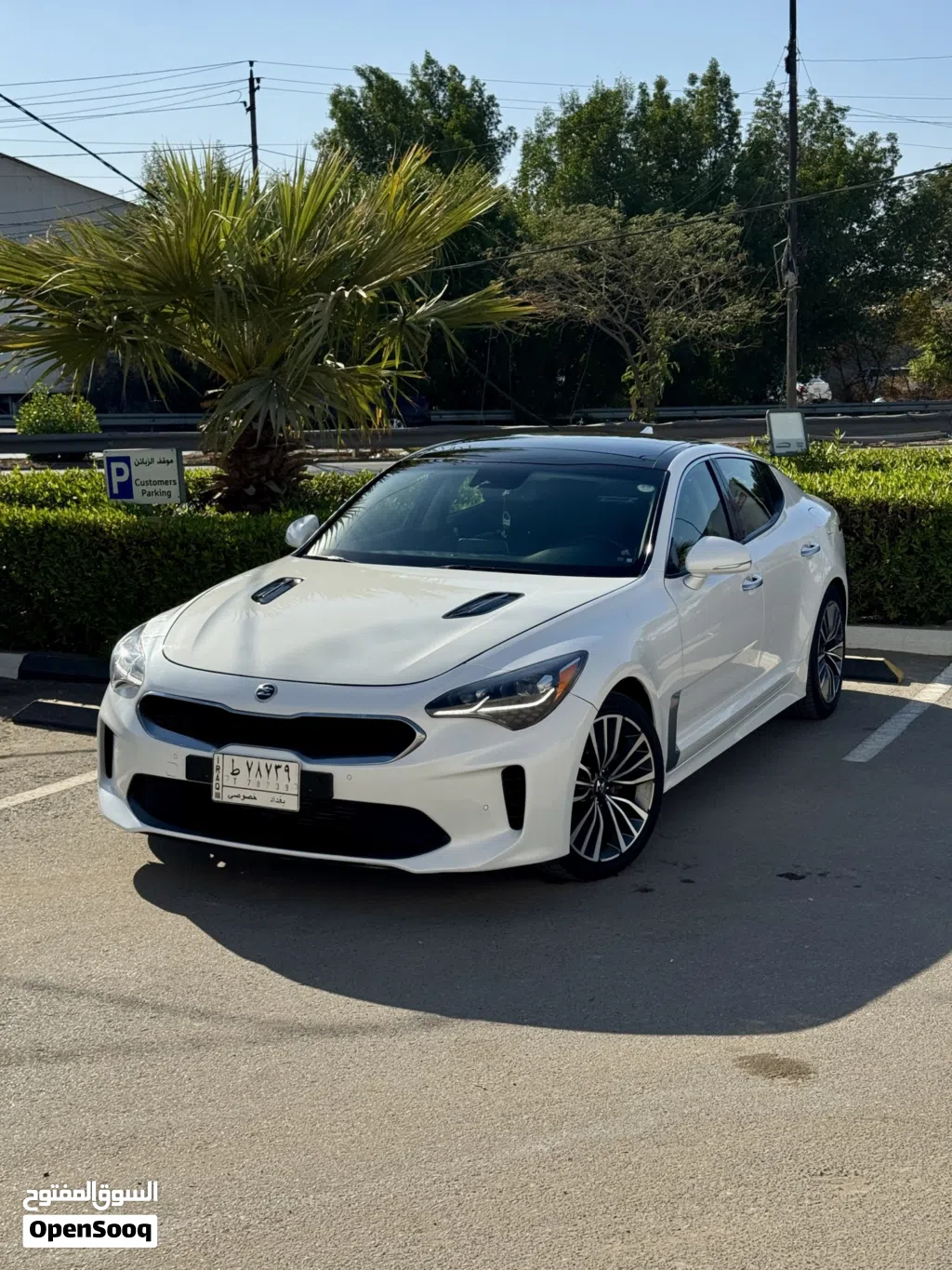 کیا Stinger EX