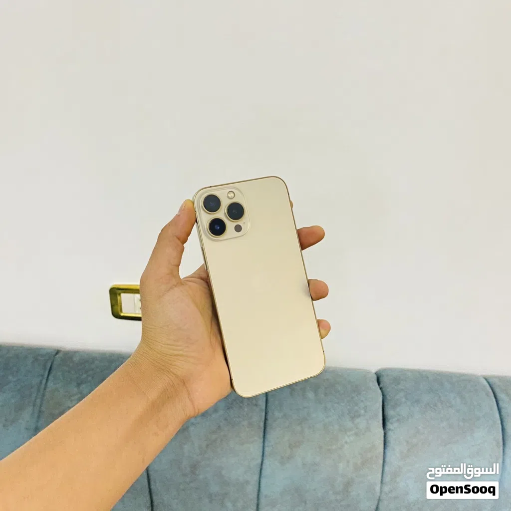 iPhone 13Pro Max