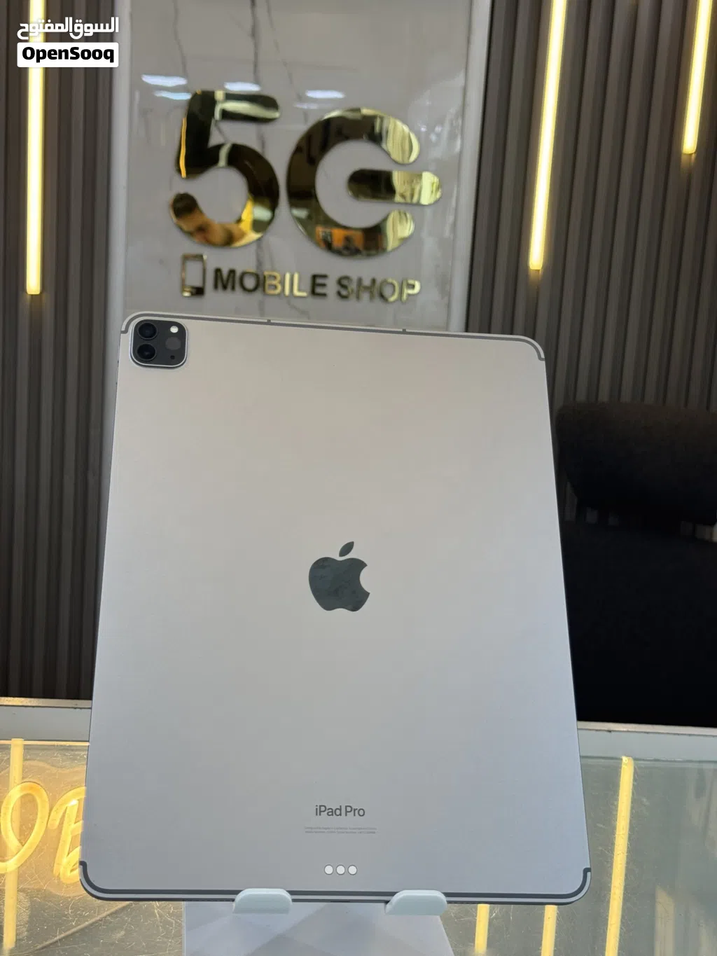 iPad M2 (256G)