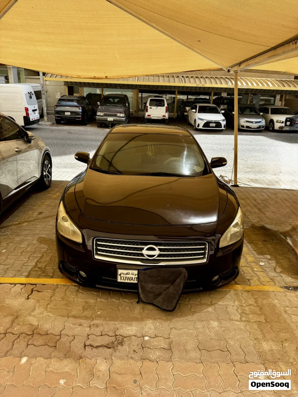Nissan Maxima Standard