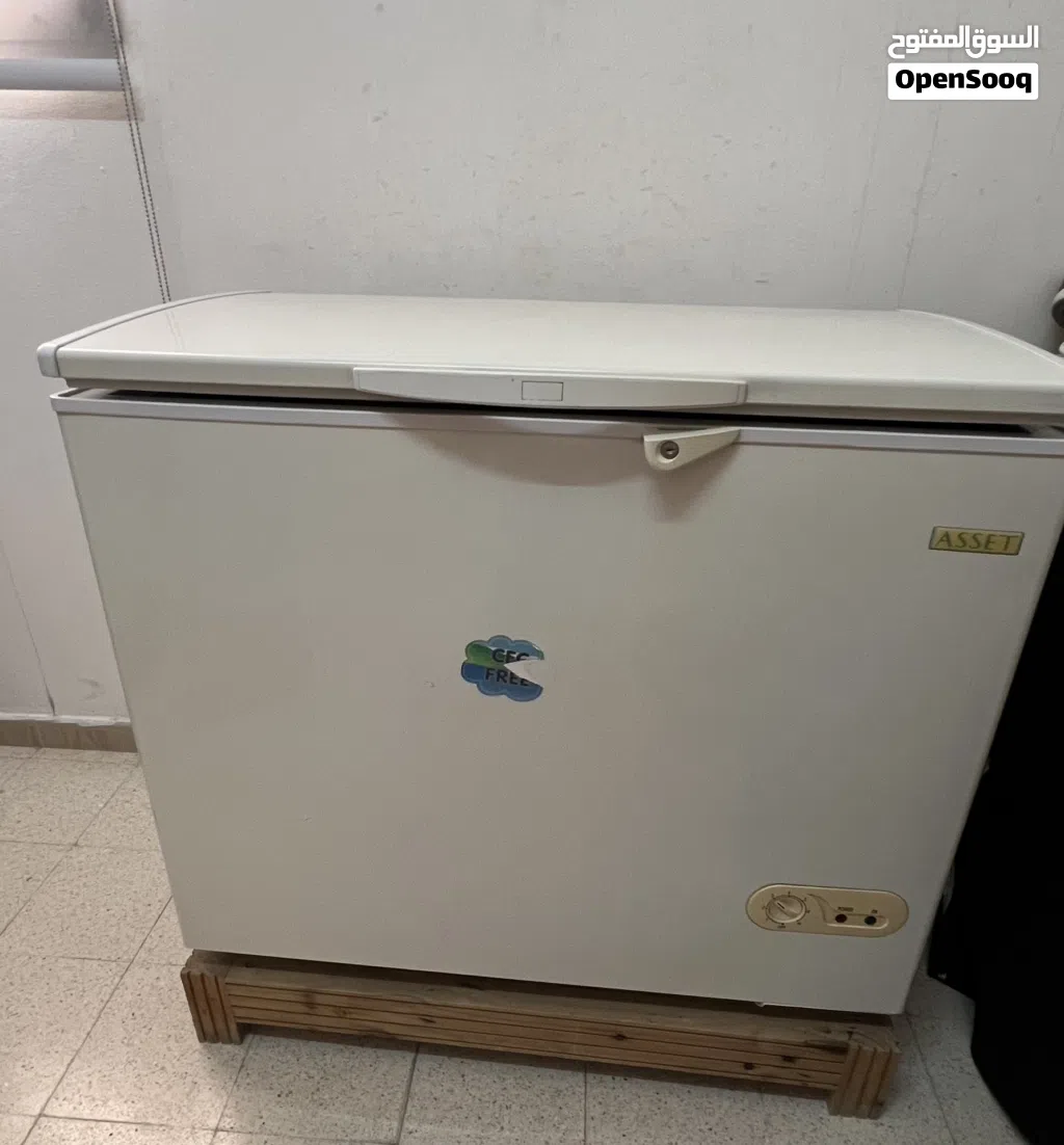 Asset Chest Freezer
