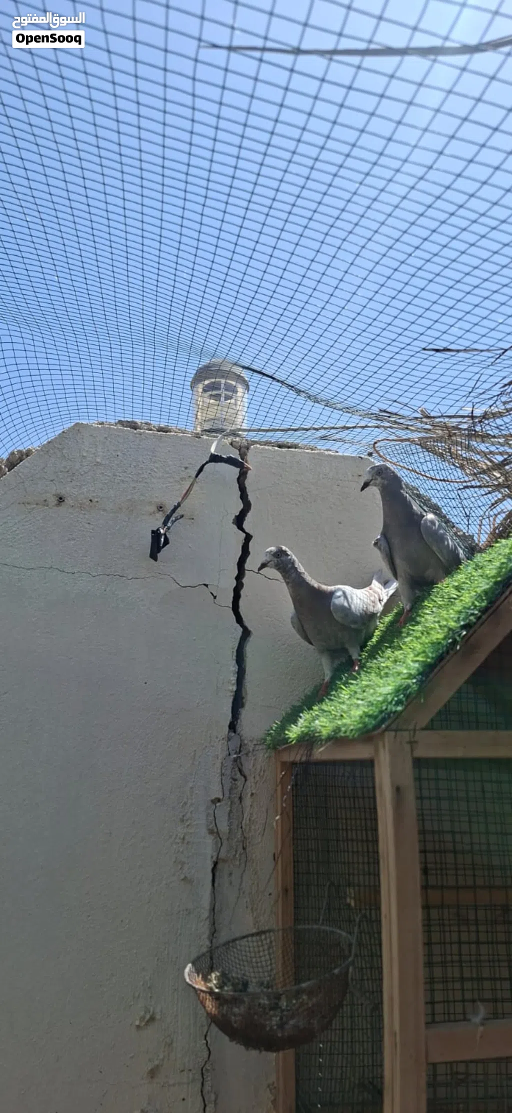 حمام رسال عمنيت