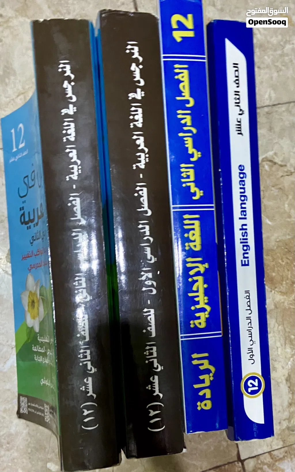 عرض خاص لطلاب الصف الثاني عشر – مجموعة كتب وملخصات مستعملة بحالة ممتازة قابل لتفاوض .