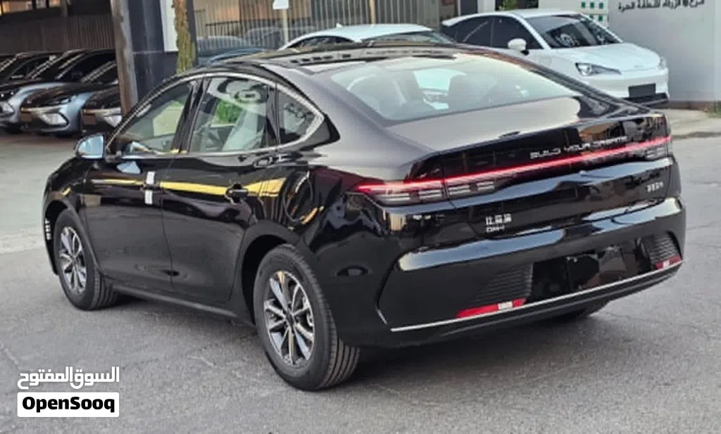 BYD Destroyer 05