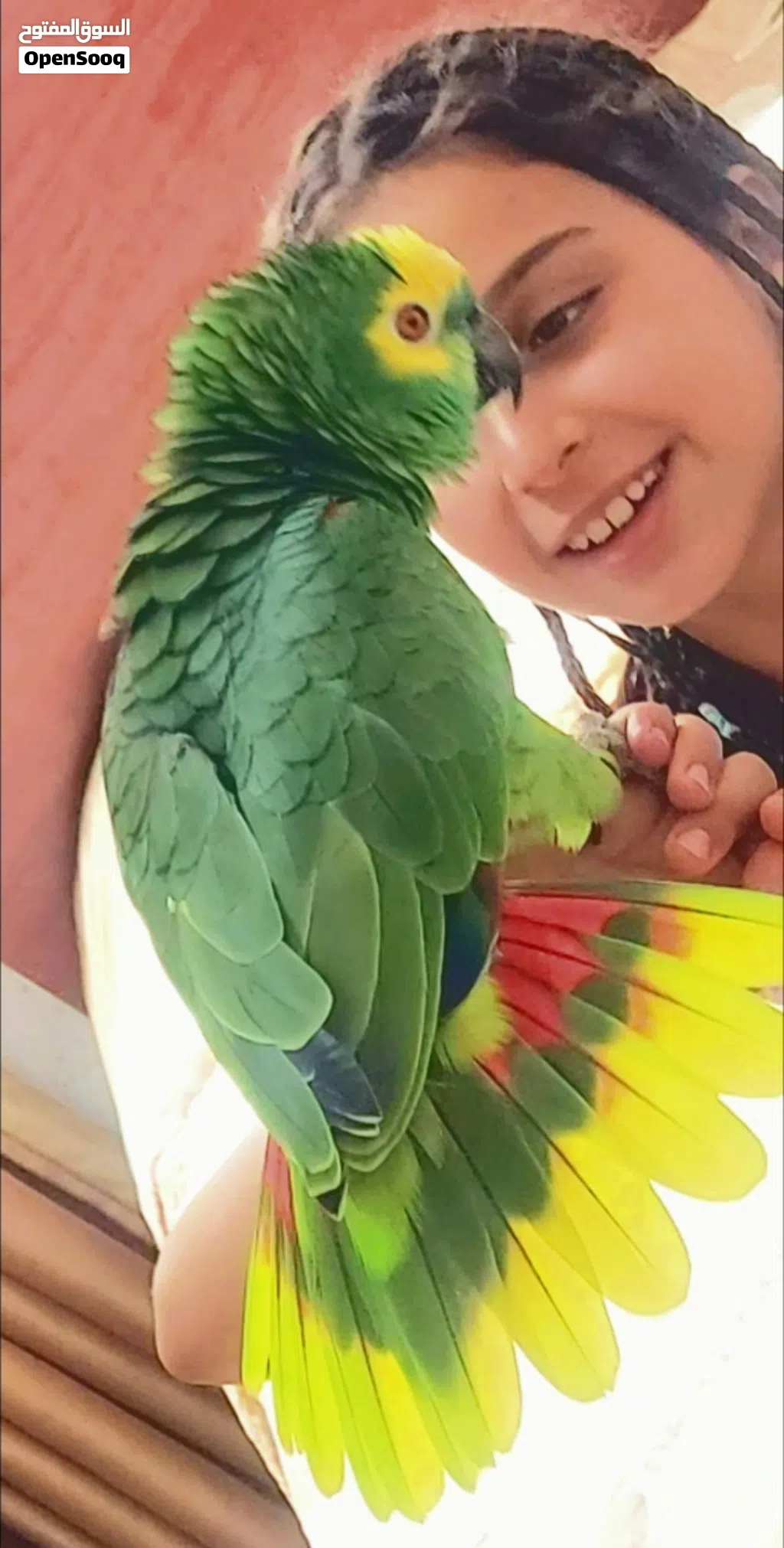 جاكو بلوفرونتد أمازون