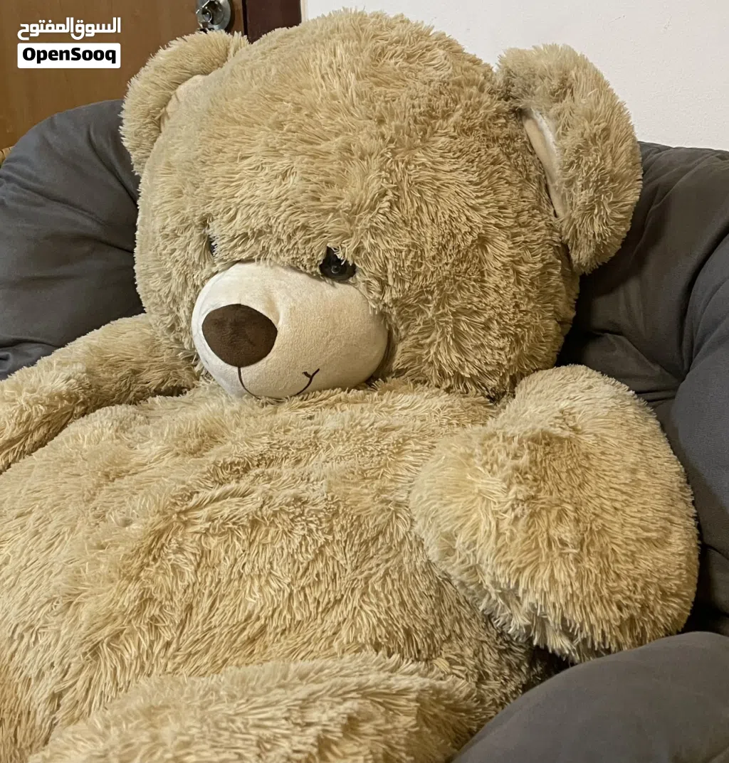Large, Ultra-Soft Teddy Bear Perfect Gift or Room Decor!