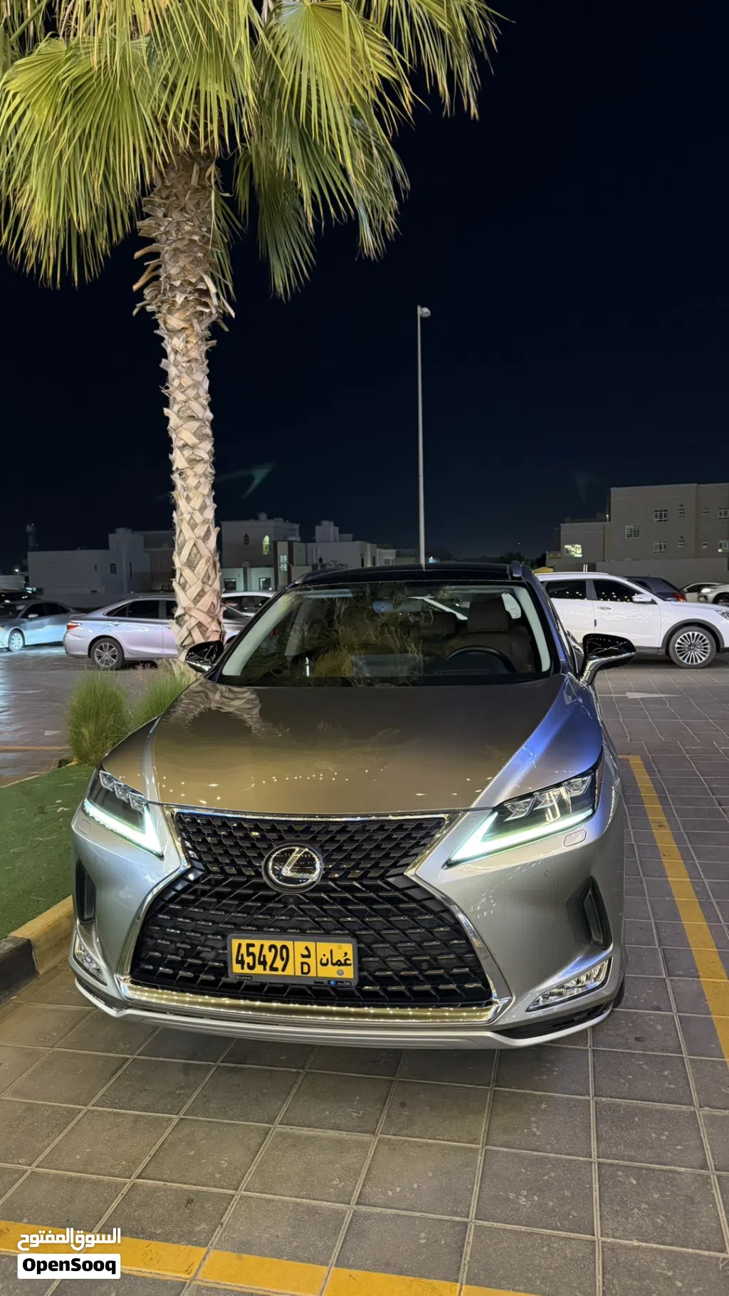 Lexus RX RX 350