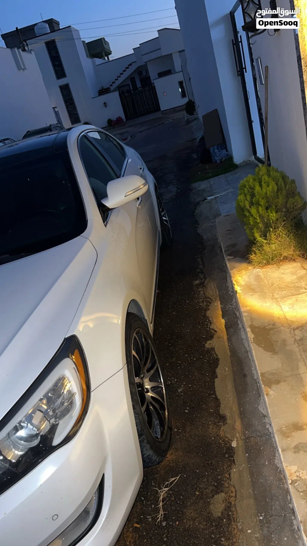 كيا كادينزا Limited