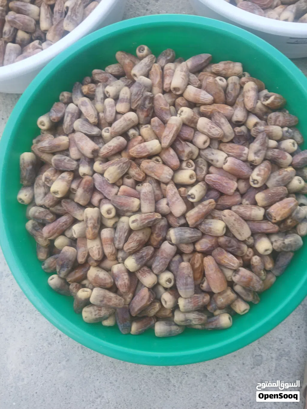 سح نغال 2026