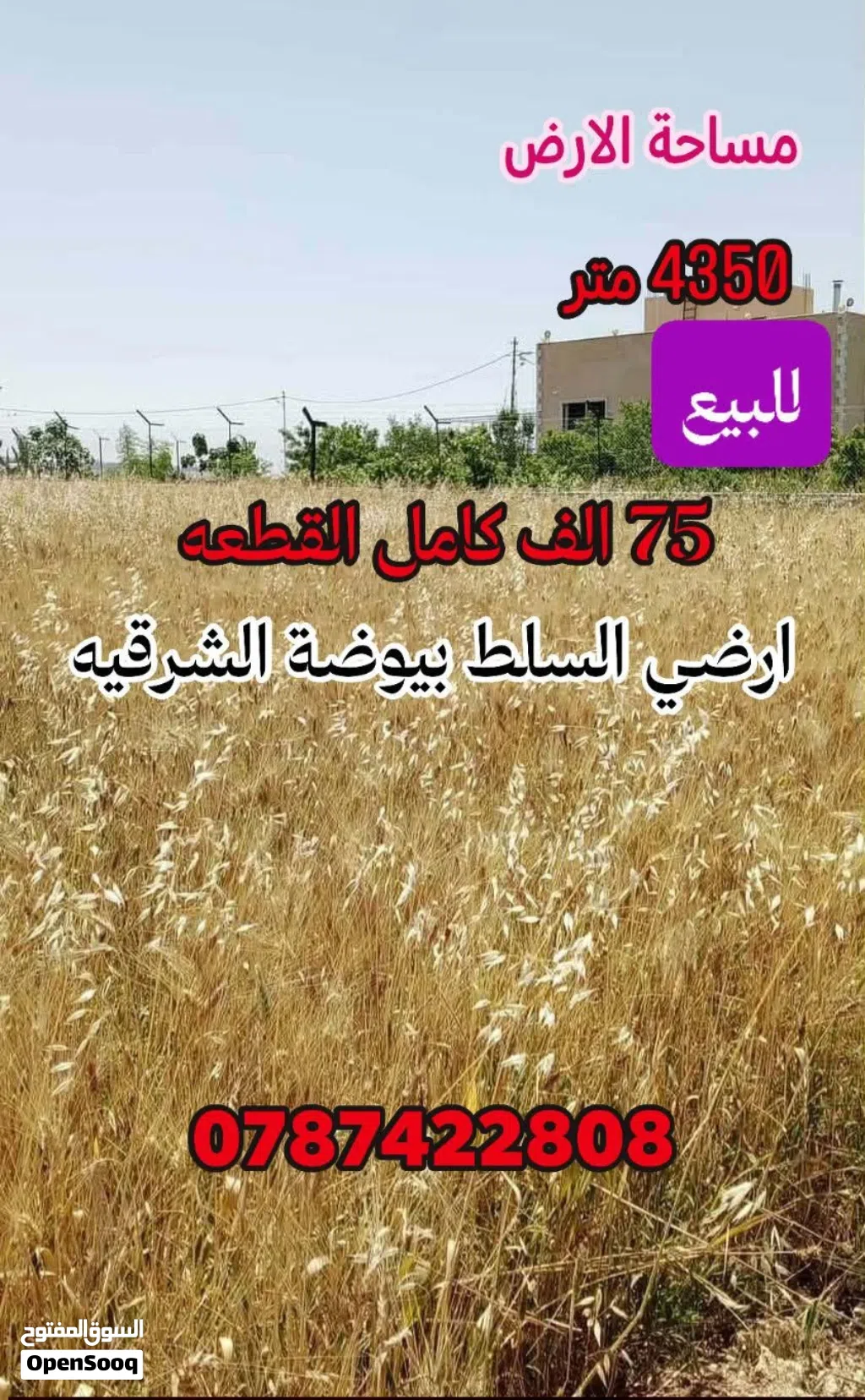 ارض مميزه المزرعه او للسكن