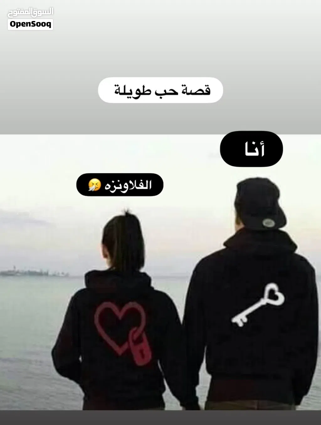 مطلوب زوج فنجس كون الفحل نورمال والانثى اي شي والحجم سوبر وانت صاعد بسعر مناسب