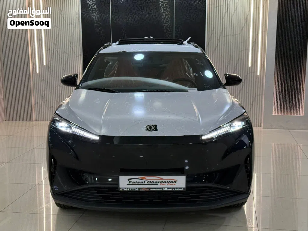دونج فينج ميج EV